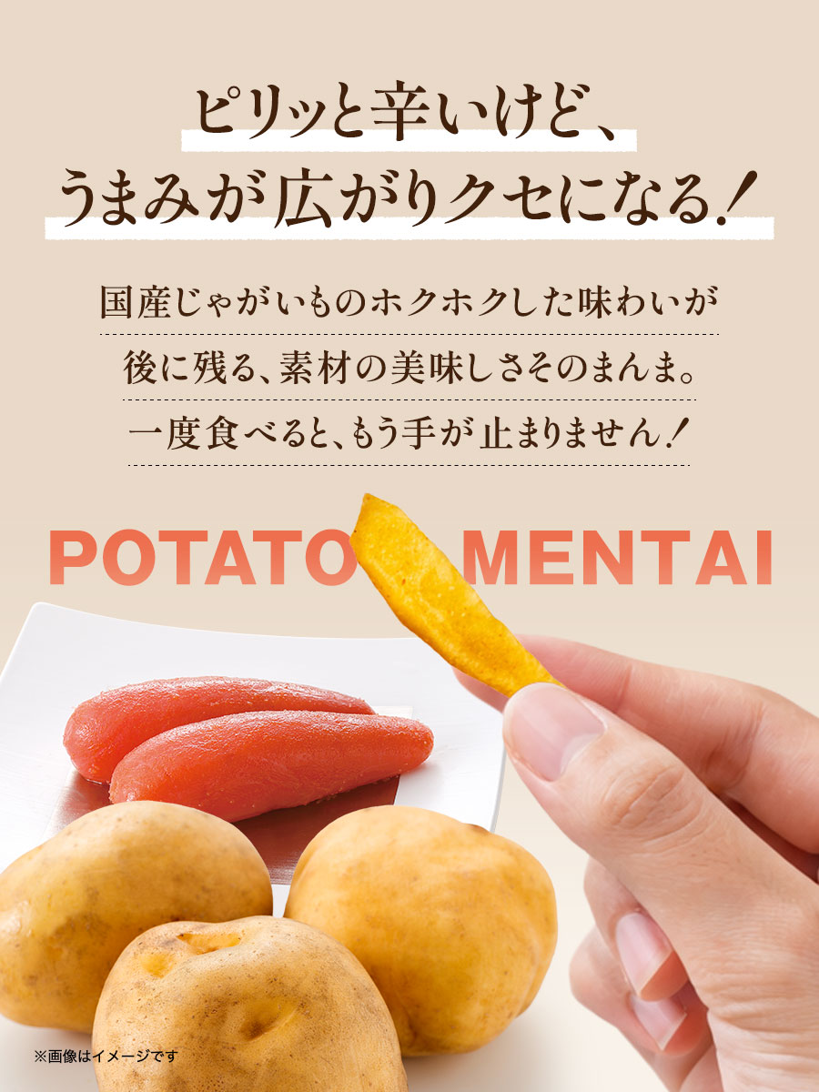 めんたいぽてと 40g スナック菓子 福さ屋 辛子明太子